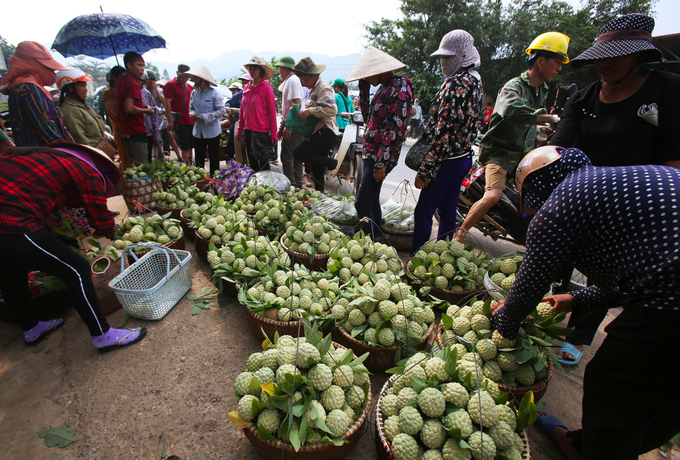 Na Láº¡ng SÆ¡n xuá»ng nÃºi