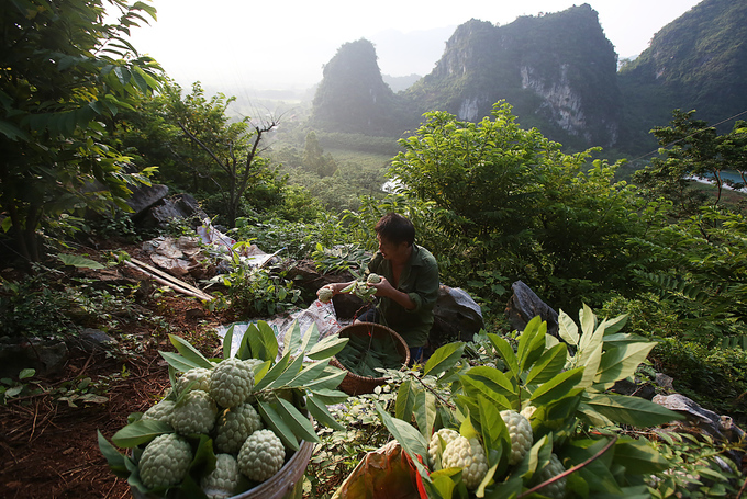 Na Láº¡ng SÆ¡n xuá»ng nÃºi