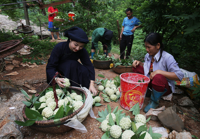 Na Láº¡ng SÆ¡n xuá»ng nÃºi